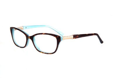 RCE 272 TORTOISE/BLUE