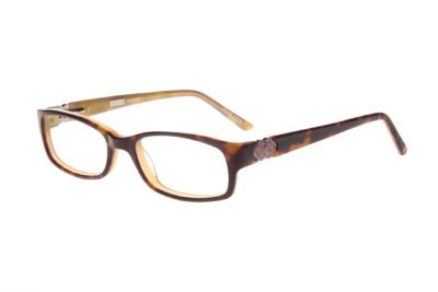 SU2C JOURNEY TORTOISE/SAND