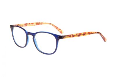 SUCCESS 101 BLUE TORTOISE