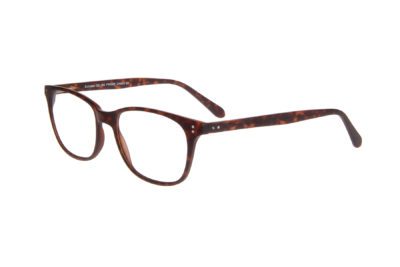 SUCCESS 104 TORTOISE