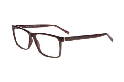 SUCCESS 113 TORTOISE