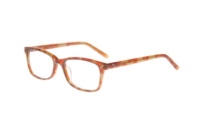 RCE 303 DEMI