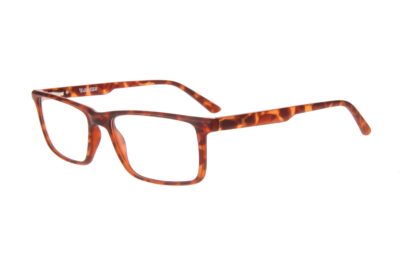 VE GREEN PLANT TORTOISE